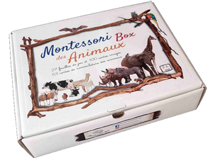 Découvrez le monde des animaux avec notre Box Montessori